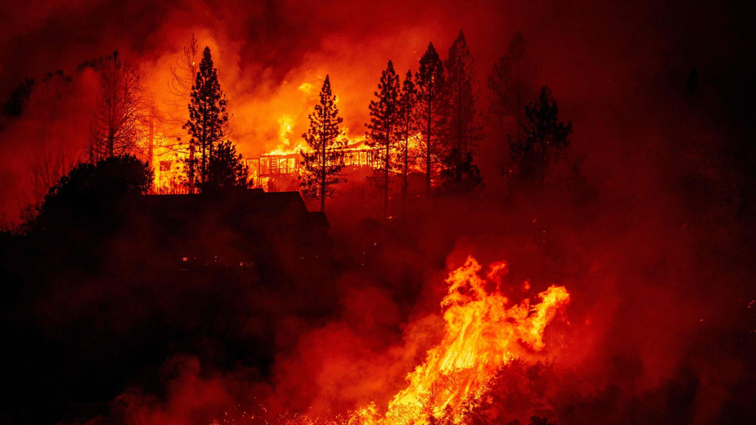 Our World is on Fire