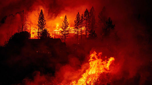 Our World is on Fire