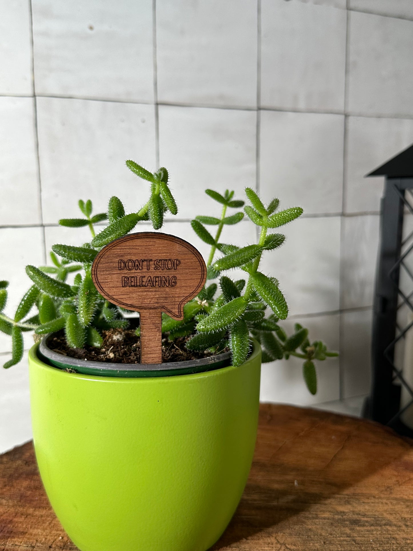 Funny Plant Stakes - Snarky Sayings Collection