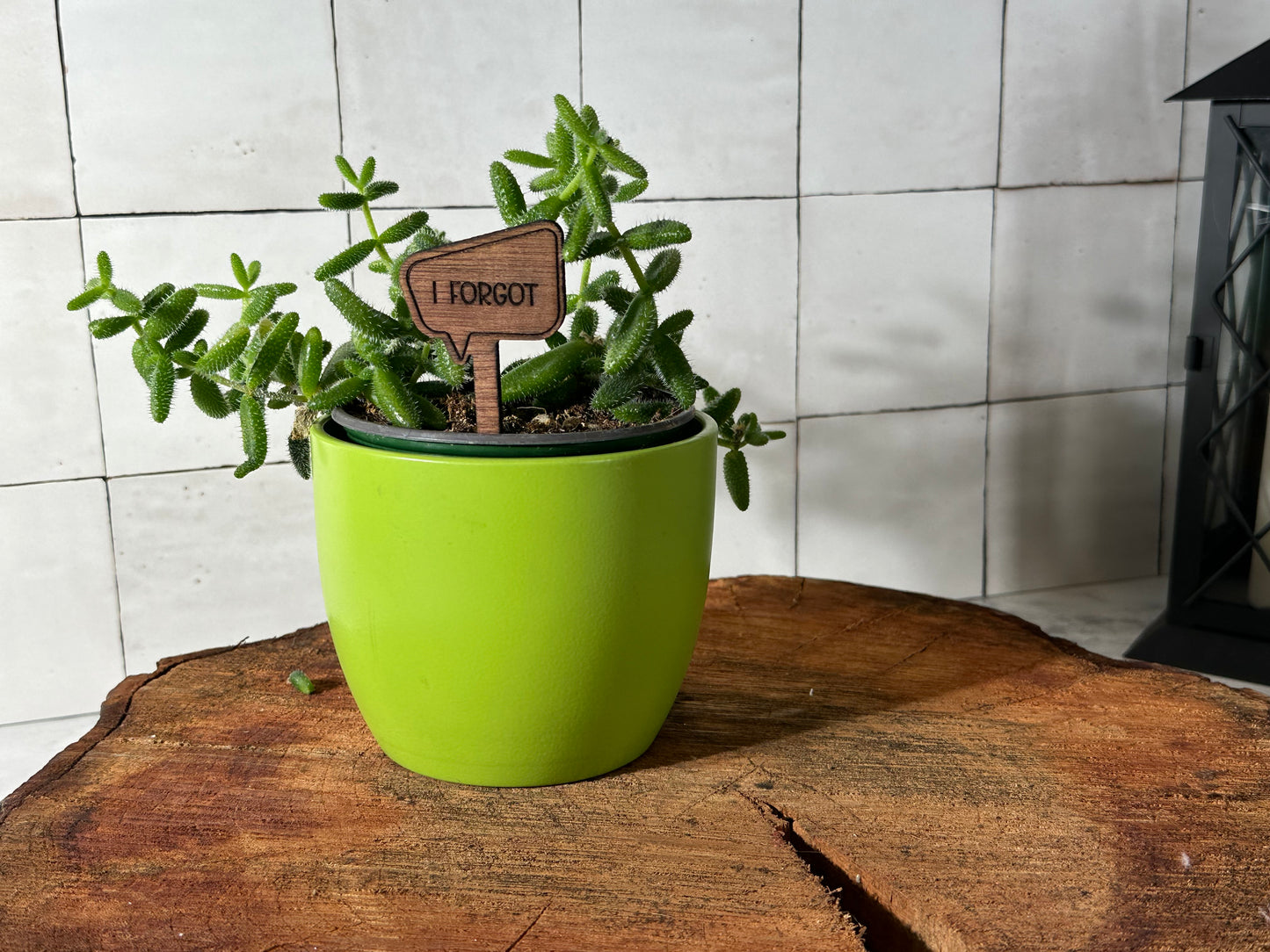 Funny Plant Stakes - Snarky Sayings Collection