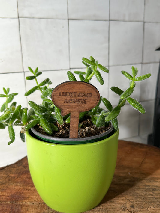 Funny Plant Stakes - Snarky Sayings Collection