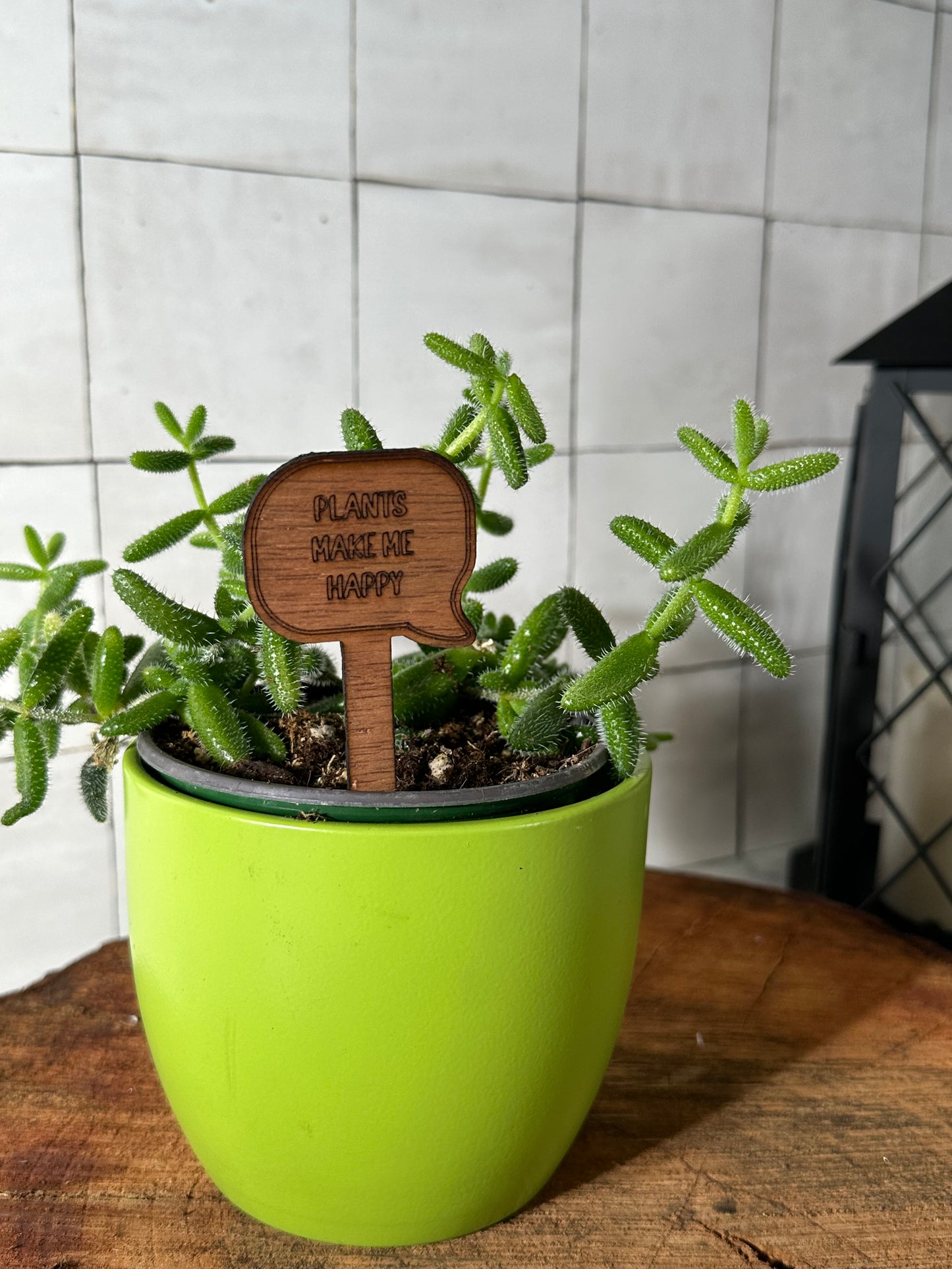 Funny Plant Stakes - Snarky Sayings Collection